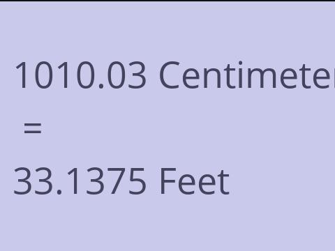 1010.03 CM TO FEET