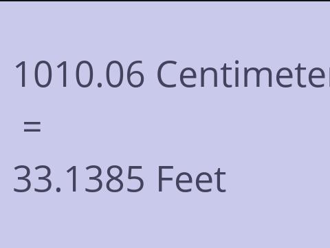 1010.06 CM TO FEET