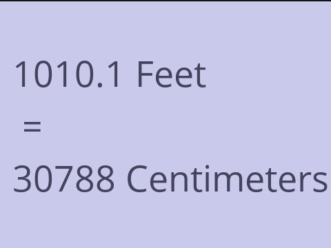 1010.1 FEET TO CM