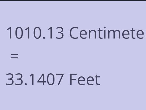 1010.13 CM TO FEET