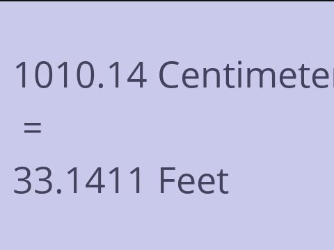 1010.14 CM TO FEET