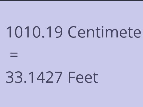 1010.19 CM TO FEET