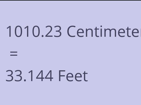 1010.23 CM TO FEET