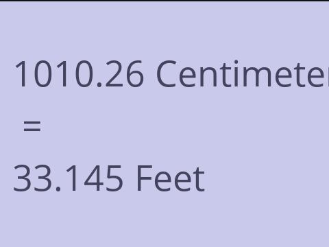 1010.26 CM TO FEET