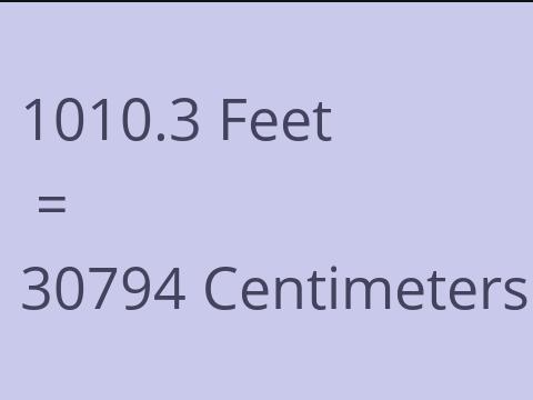 1010.3 FEET TO CM