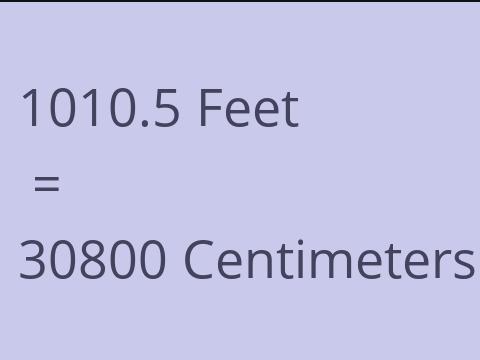 1010.5 FEET TO CM