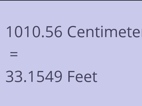 1010.56 CM TO FEET