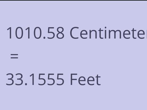 1010.58 CM TO FEET