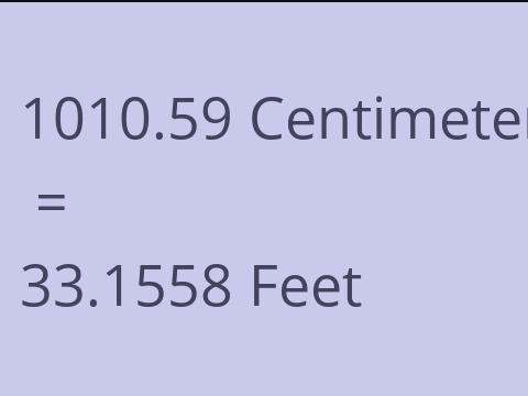 1010.59 CM TO FEET