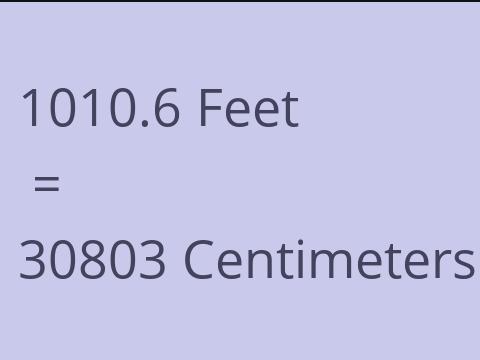 1010.6 FEET TO CM