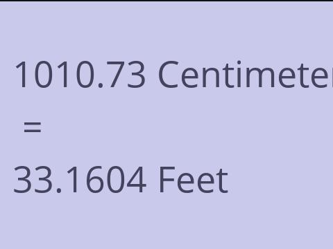 1010.73 CM TO FEET