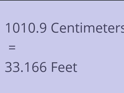 1010.9 CM TO FEET