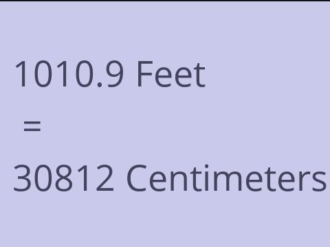 1010.9 FEET TO CM