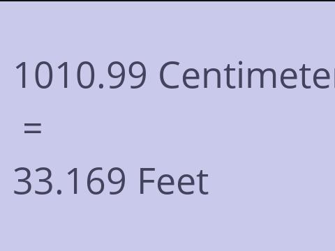 1010.99 CM TO FEET