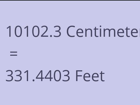10102.3 CM TO FEET