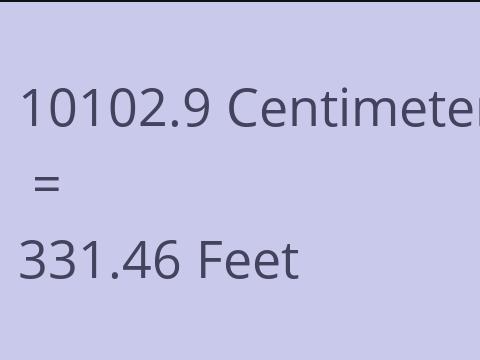10102.9 CM TO FEET