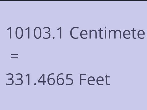 10103.1 CM TO FEET