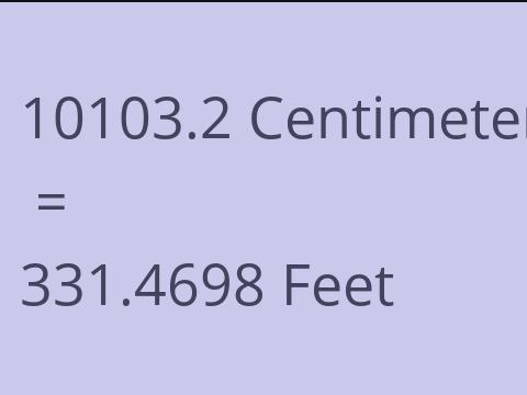 10103.2 CM TO FEET