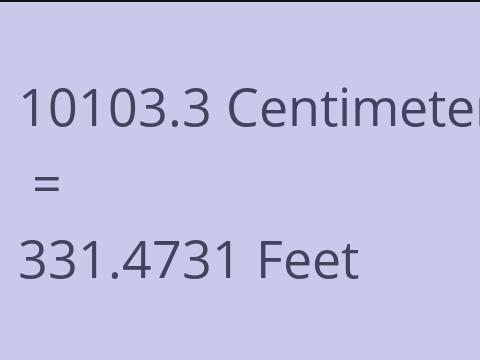 10103.3 CM TO FEET