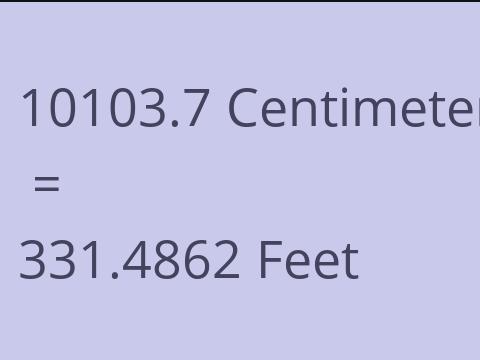 10103.7 CM TO FEET