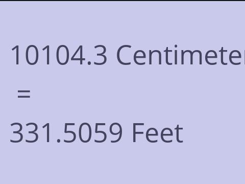 10104.3 CM TO FEET