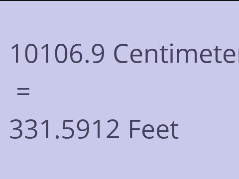 10106.9 CM TO FEET