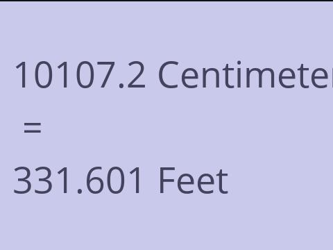 10107.2 CM TO FEET