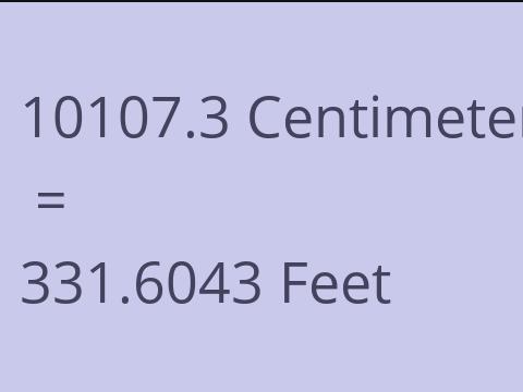 10107.3 CM TO FEET