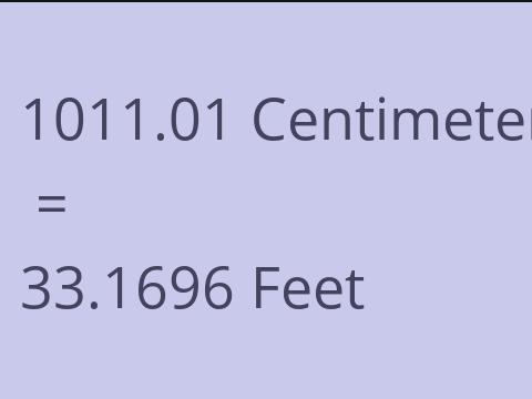 1011.01 CM TO FEET