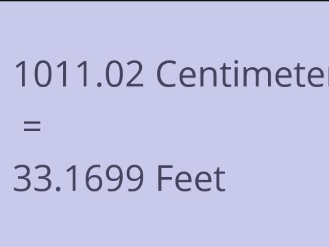 1011.02 CM TO FEET