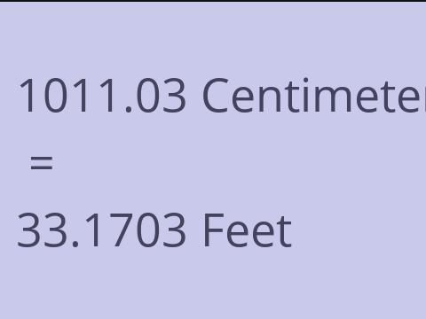 1011.03 CM TO FEET