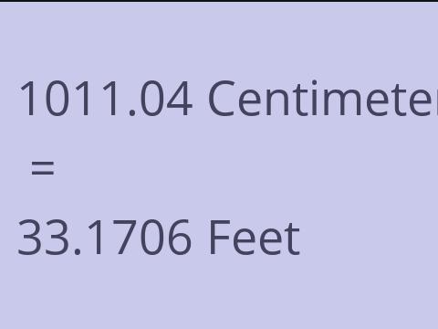 1011.04 CM TO FEET