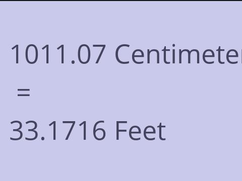 1011.07 CM TO FEET