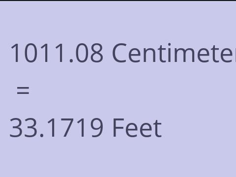 1011.08 CM TO FEET