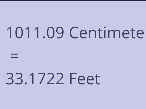 1011.09 CM TO FEET