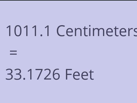 1011.1 CM TO FEET