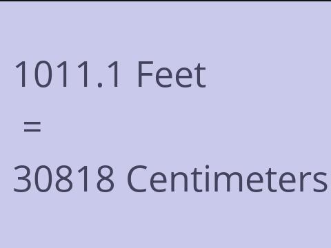 1011.1 FEET TO CM