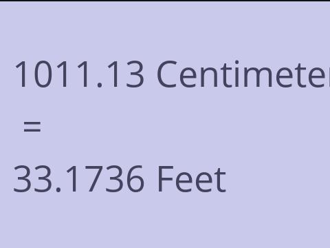 1011.13 CM TO FEET