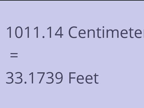 1011.14 CM TO FEET