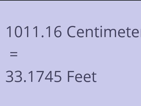 1011.16 CM TO FEET