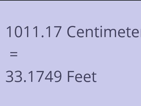 1011.17 CM TO FEET