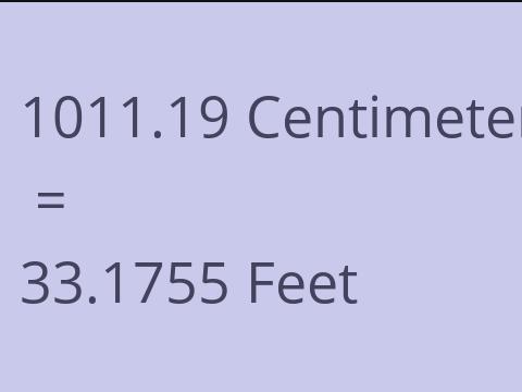 1011.19 CM TO FEET