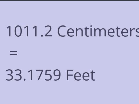 1011.2 CM TO FEET