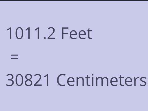 1011.2 FEET TO CM