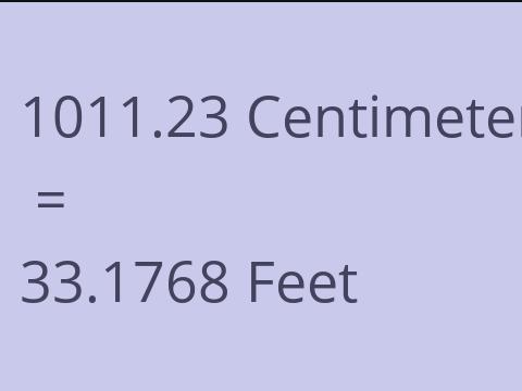 1011.23 CM TO FEET