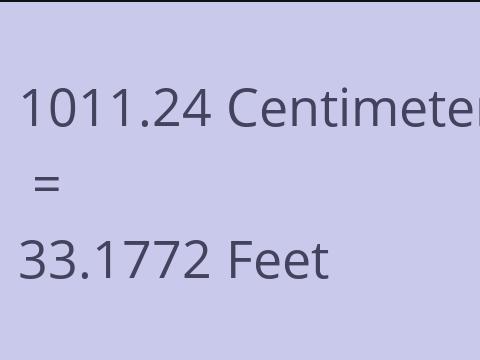 1011.24 CM TO FEET