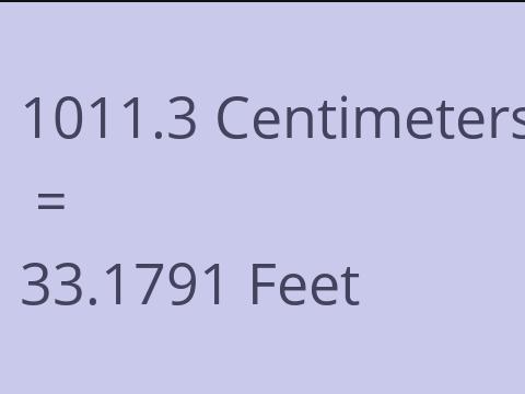 1011.3 CM TO FEET