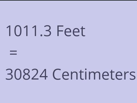 1011.3 FEET TO CM