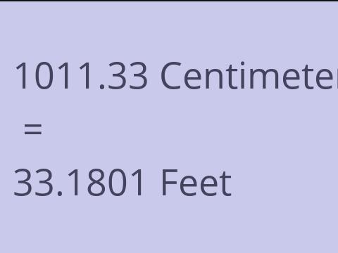 1011.33 CM TO FEET