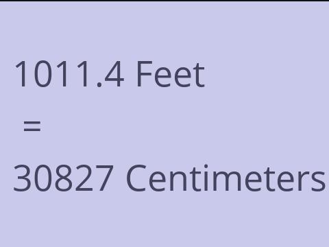 1011.4 FEET TO CM